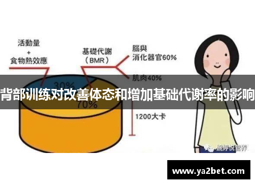 背部训练对改善体态和增加基础代谢率的影响